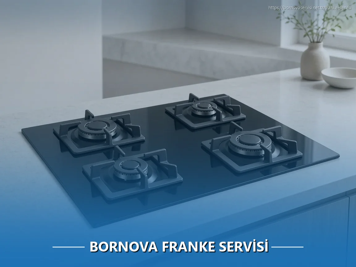 Bornova Franke Servisi